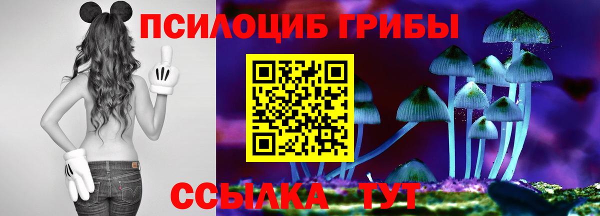 Галлюциногенные грибы Psilocybe Арсеньев